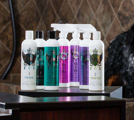 category-petproducts